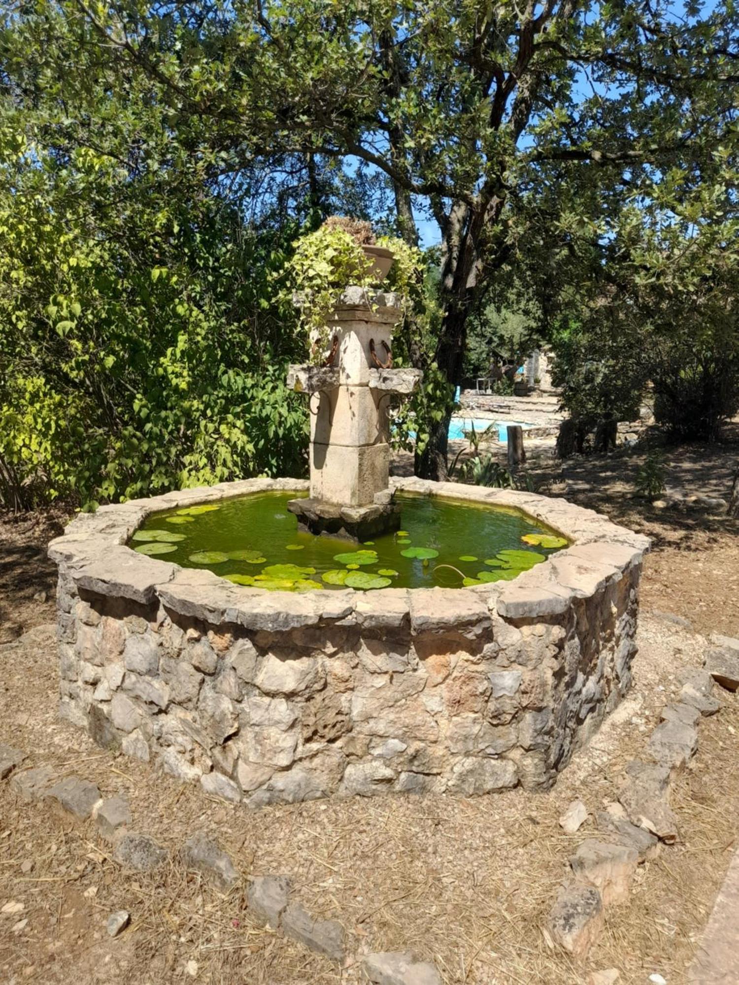 Villa L Etrier Lorgues Esterno foto